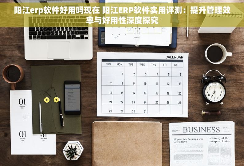 阳江erp软件好用吗现在 阳江ERP软件实用评测：提升管理效率与好用性深度探究