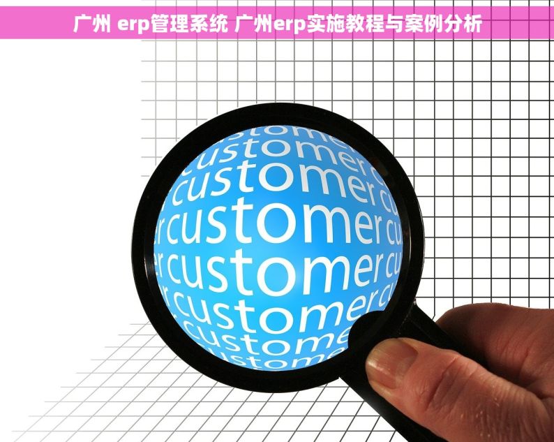 广州 erp管理系统 广州erp实施教程与案例分析