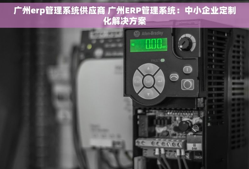 广州erp管理系统供应商 广州ERP管理系统：中小企业定制化解决方案