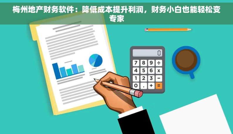 梅州地产财务软件：降低成本提升利润，财务小白也能轻松变专家