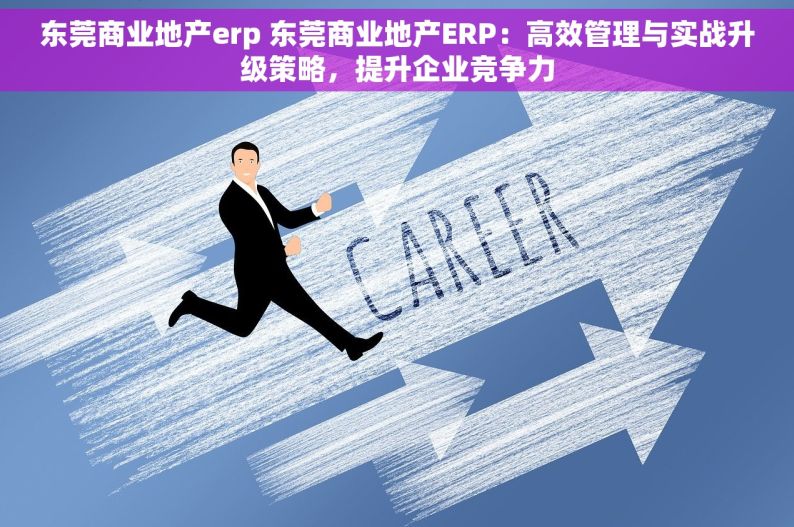 东莞商业地产erp 东莞商业地产ERP：高效管理与实战升级策略，提升企业竞争力