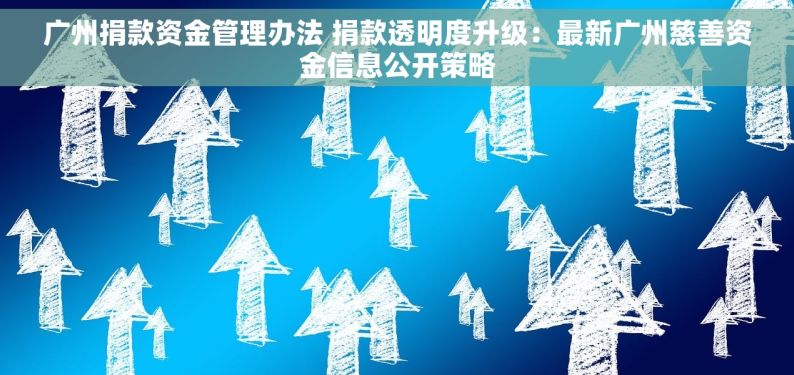 广州捐款资金管理办法 捐款透明度升级：最新广州慈善资金信息公开策略