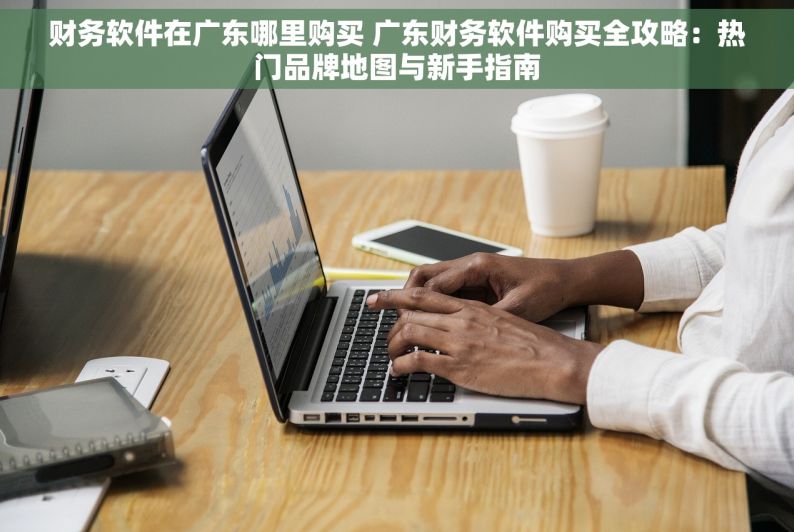 财务软件在广东哪里购买 广东财务软件购买全攻略：热门品牌地图与新手指南