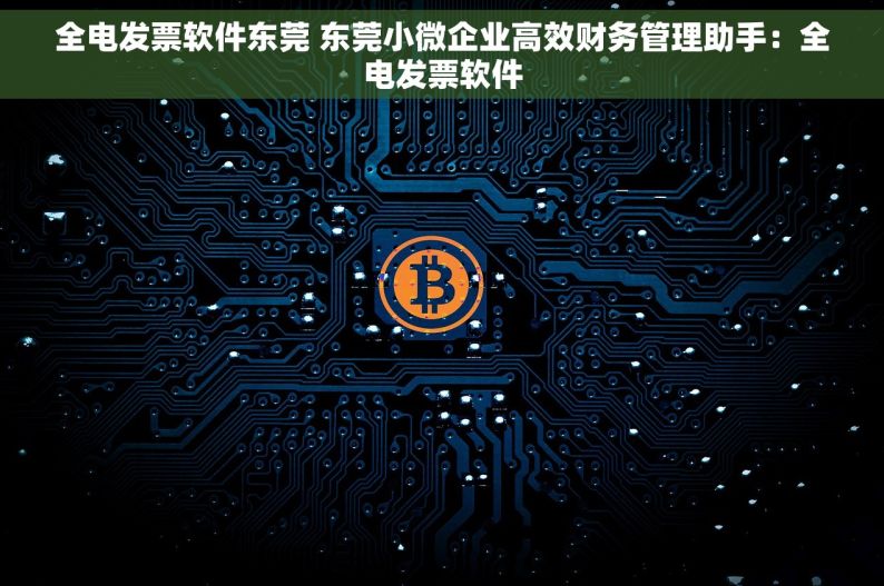 全电发票软件东莞 东莞小微企业高效财务管理助手：全电发票软件