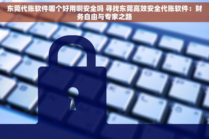东莞代账软件哪个好用啊安全吗 寻找东莞高效安全代账软件：财务自由与专家之路