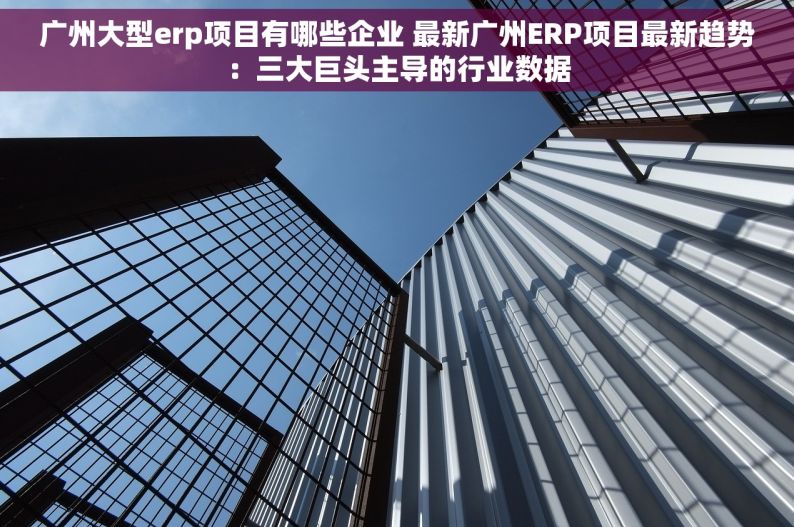 广州大型erp项目有哪些企业 最新广州ERP项目最新趋势：三大巨头主导的行业数据