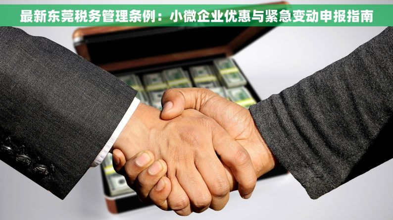 最新东莞税务管理条例：小微企业优惠与紧急变动申报指南
