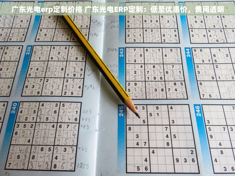 广东光电erp定制价格 广东光电ERP定制：低至优惠价，费用透明