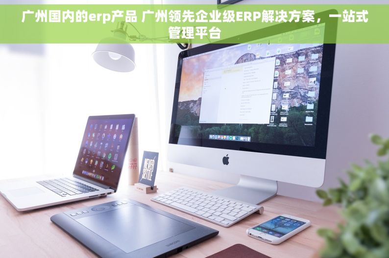广州国内的erp产品 广州领先企业级ERP解决方案，一站式管理平台
