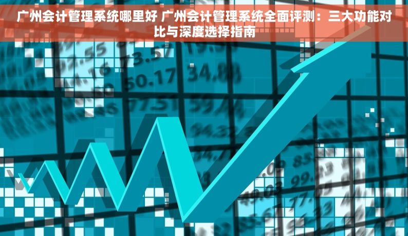 广州会计管理系统哪里好 广州会计管理系统全面评测：三大功能对比与深度选择指南