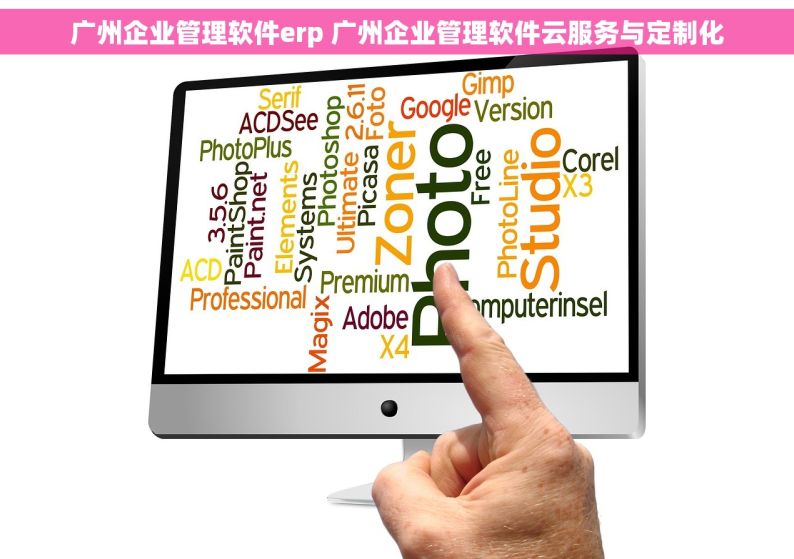 广州企业管理软件erp 广州企业管理软件云服务与定制化