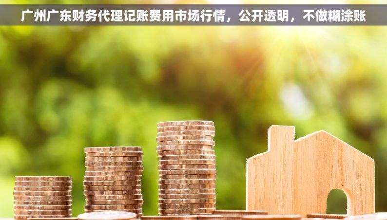 广州广东财务代理记账费用市场行情，公开透明，不做糊涂账