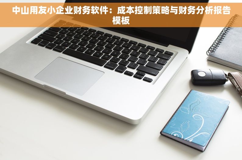 中山用友小企业财务软件：成本控制策略与财务分析报告模板