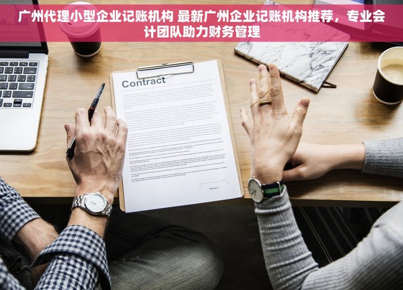 广州代理小型企业记账机构 最新广州企业记账机构推荐，专业会计团队助力财务管理