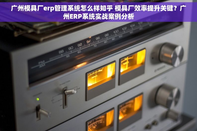 广州模具厂erp管理系统怎么样知乎 模具厂效率提升关键？广州ERP系统实战案例分析