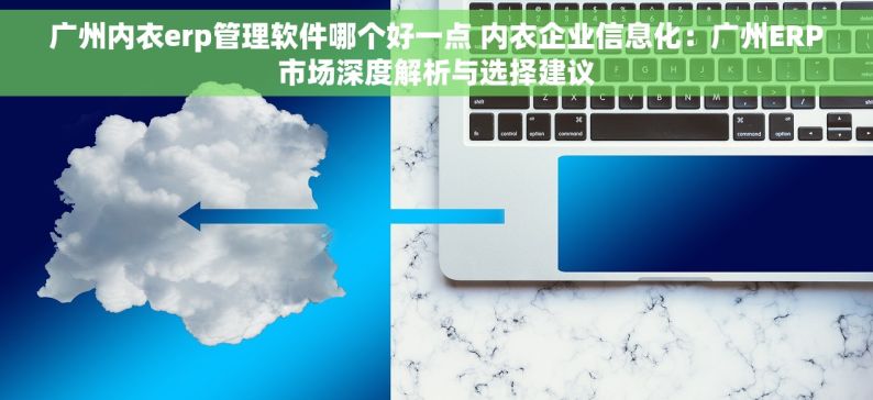 广州内衣erp管理软件哪个好一点 内衣企业信息化：广州ERP市场深度解析与选择建议