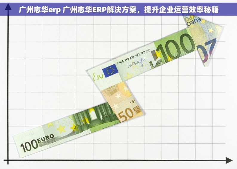 广州志华erp 广州志华ERP解决方案，提升企业运营效率秘籍