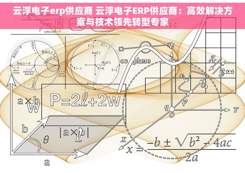 云浮电子erp供应商 云浮电子ERP供应商：高效解决方案与技术领先转型专家
