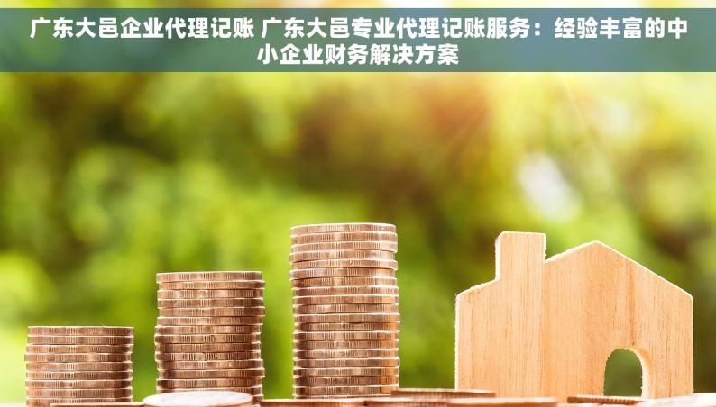 广东大邑企业代理记账 广东大邑专业代理记账服务：经验丰富的中小企业财务解决方案