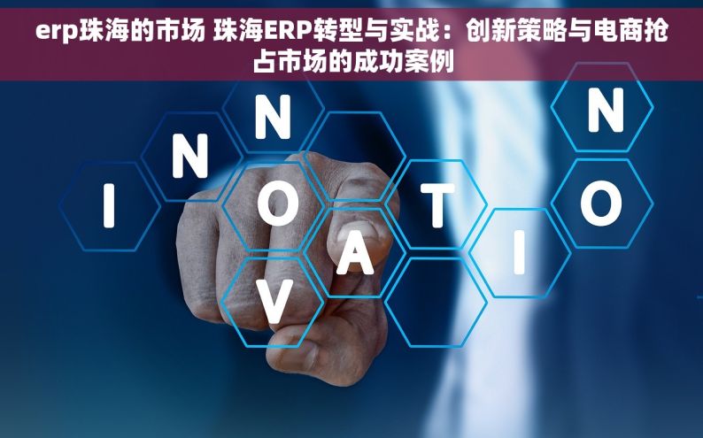 erp珠海的市场 珠海ERP转型与实战：创新策略与电商抢占市场的成功案例