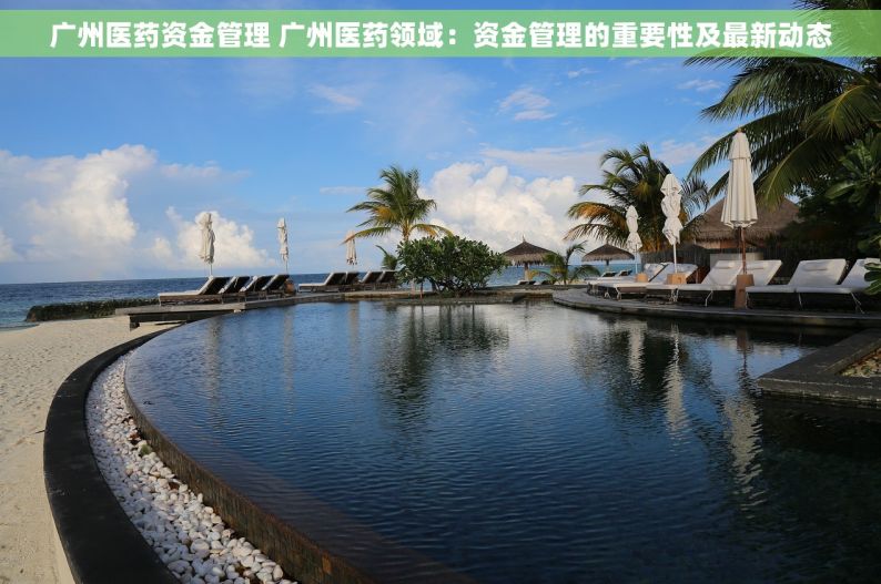 广州医药资金管理 广州医药领域：资金管理的重要性及最新动态