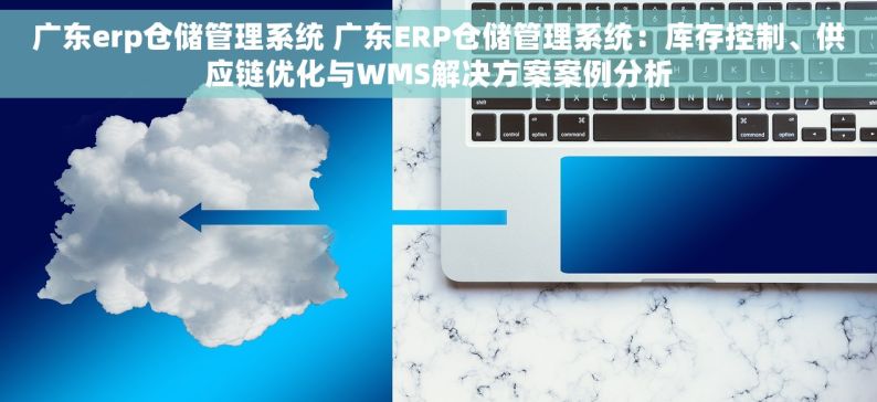 广东erp仓储管理系统 广东ERP仓储管理系统：库存控制、供应链优化与WMS解决方案案例分析