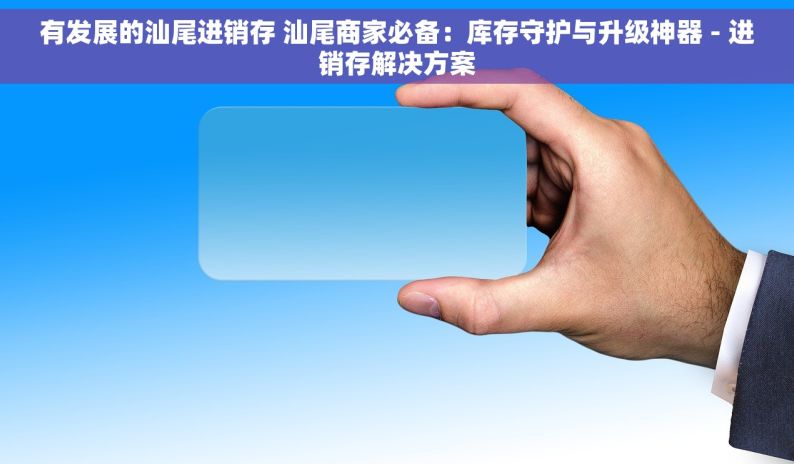 有发展的汕尾进销存 汕尾商家必备：库存守护与升级神器 - 进销存解决方案