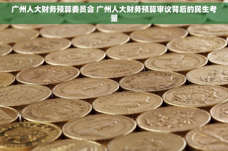 广州人大财务预算委员会 广州人大财务预算审议背后的民生考量