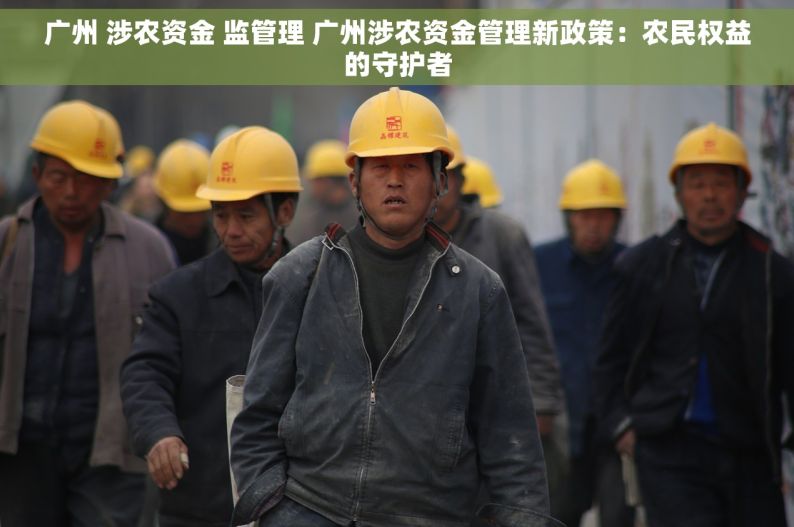 广州 涉农资金 监管理 广州涉农资金管理新政策：农民权益的守护者