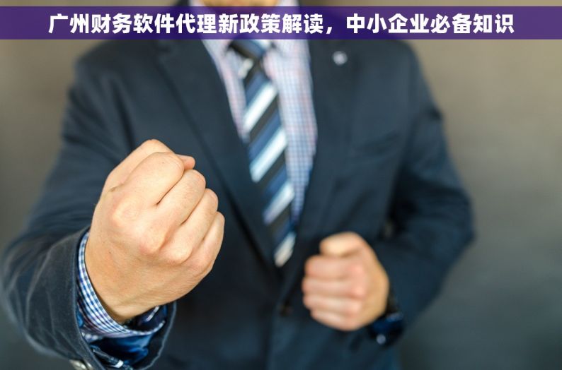 广州财务软件代理新政策解读，中小企业必备知识