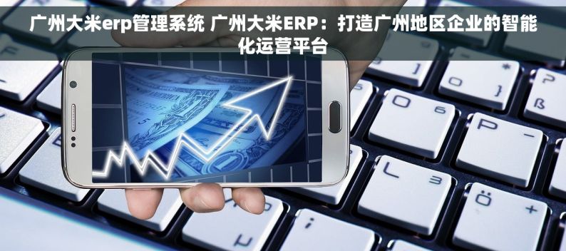 广州大米erp管理系统 广州大米ERP：打造广州地区企业的智能化运营平台