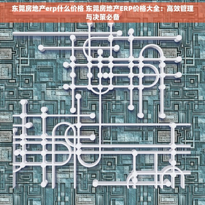 东莞房地产erp什么价格 东莞房地产ERP价格大全：高效管理与决策必备
