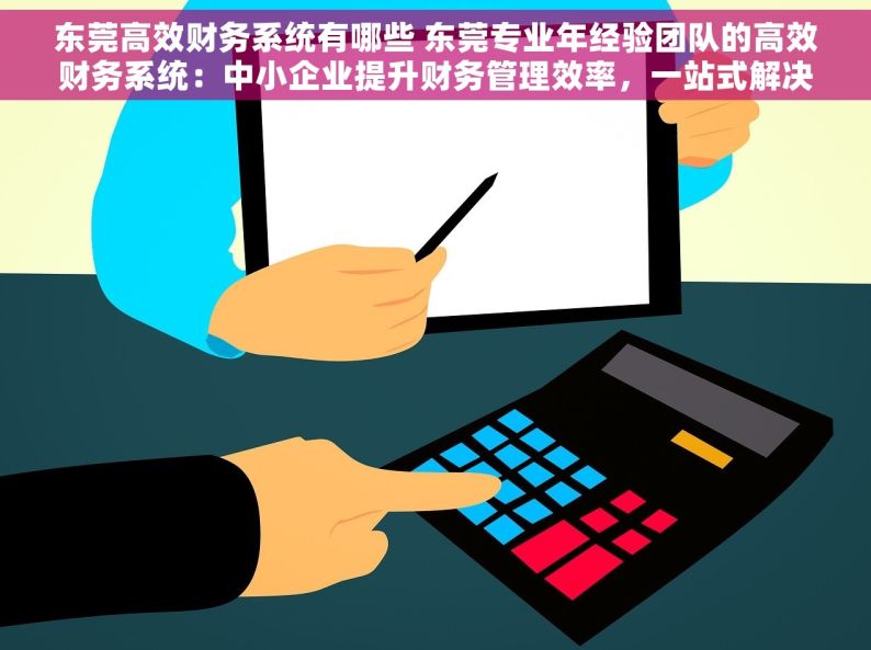 东莞高效财务系统有哪些 东莞专业年经验团队的高效财务系统：中小企业提升财务管理效率，一站式解决方案