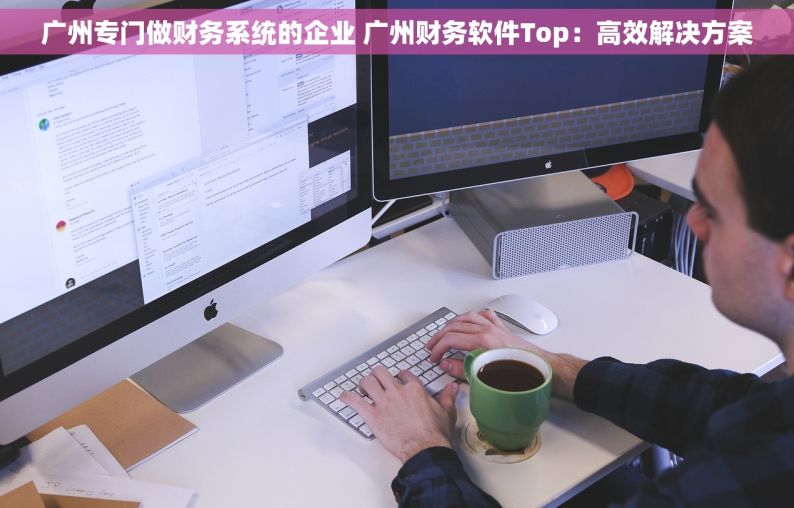 广州专门做财务系统的企业 广州财务软件Top：高效解决方案