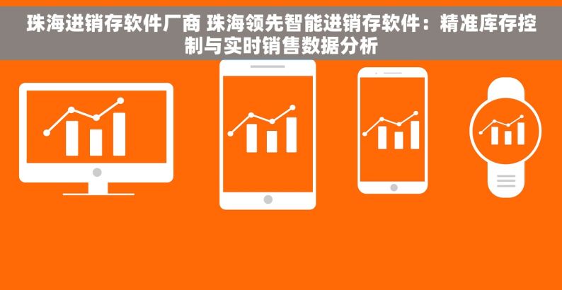 珠海进销存软件厂商 珠海领先智能进销存软件：精准库存控制与实时销售数据分析