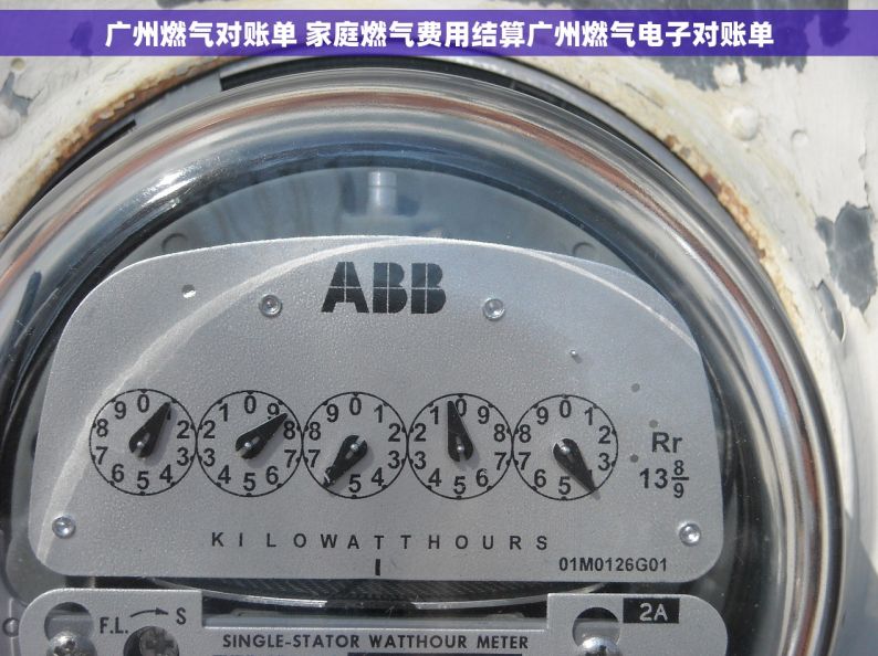 广州燃气对账单 家庭燃气费用结算广州燃气电子对账单
