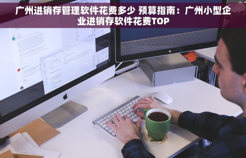 广州进销存管理软件花费多少 预算指南：广州小型企业进销存软件花费TOP