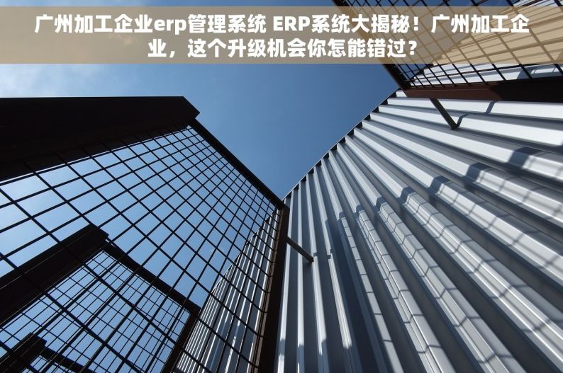 广州加工企业erp管理系统 ERP系统大揭秘！广州加工企业，这个升级机会你怎能错过？