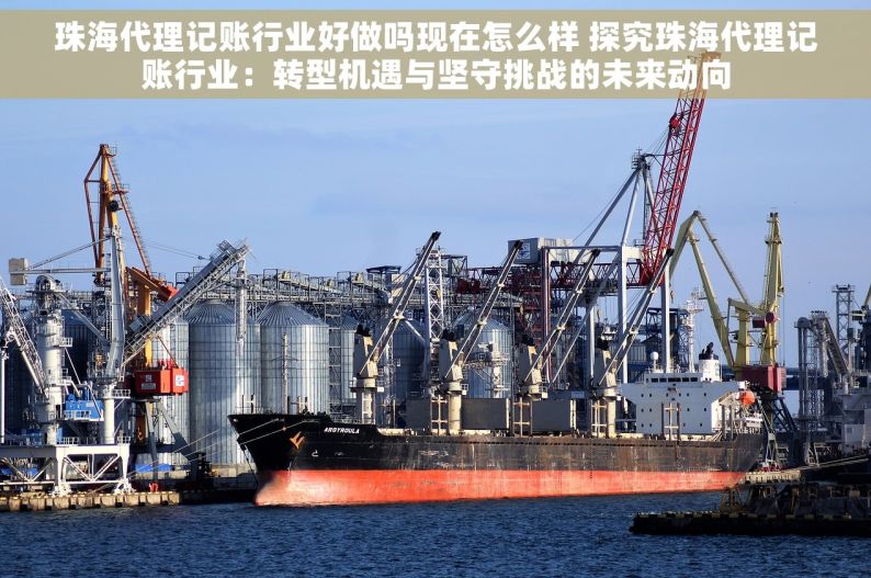 珠海代理记账行业好做吗现在怎么样 探究珠海代理记账行业：转型机遇与坚守挑战的未来动向