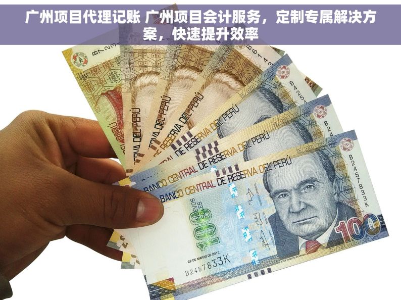 广州项目代理记账 广州项目会计服务，定制专属解决方案，快速提升效率