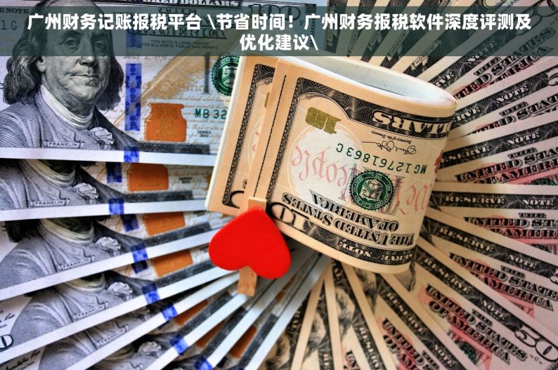广州财务记账报税平台 \节省时间！广州财务报税软件深度评测及优化建议\