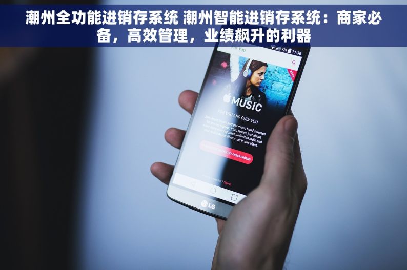 潮州全功能进销存系统 潮州智能进销存系统：商家必备，高效管理，业绩飙升的利器