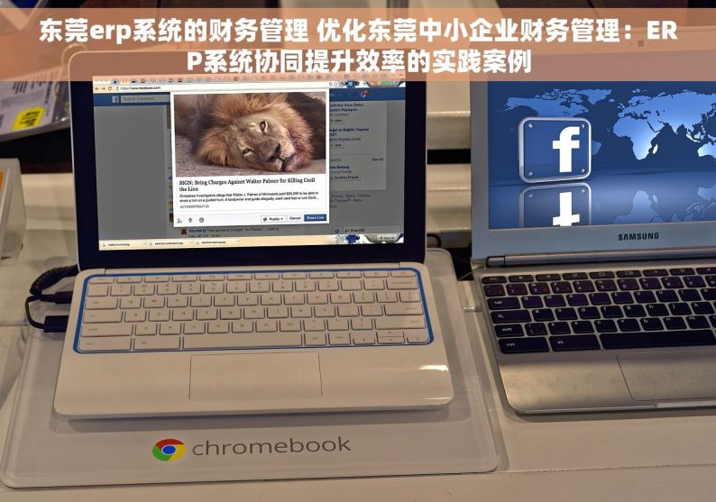 东莞erp系统的财务管理 优化东莞中小企业财务管理：ERP系统协同提升效率的实践案例