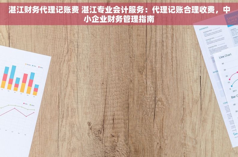 湛江财务代理记账费 湛江专业会计服务：代理记账合理收费，中小企业财务管理指南