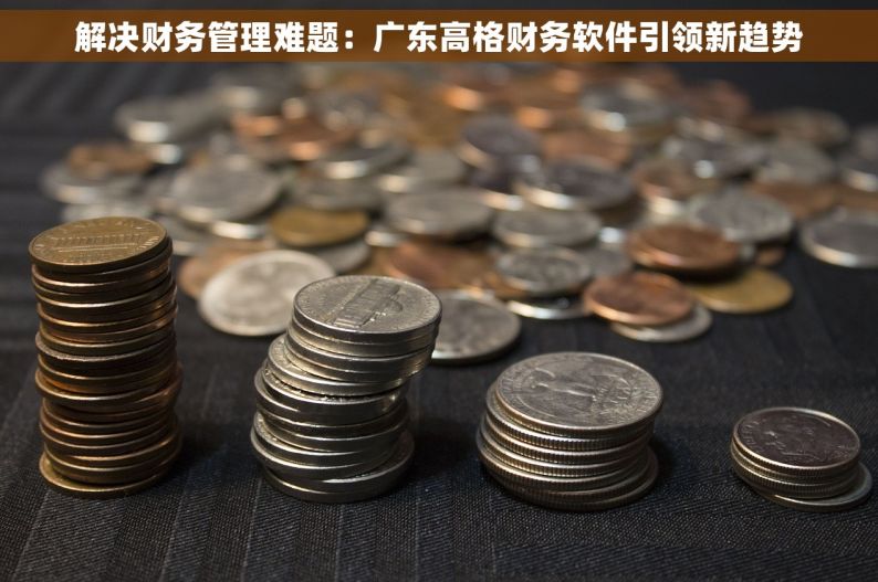 解决财务管理难题：广东高格财务软件引领新趋势