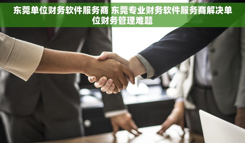 东莞单位财务软件服务商 东莞专业财务软件服务商解决单位财务管理难题