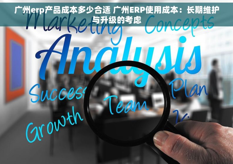 广州erp产品成本多少合适 广州ERP使用成本：长期维护与升级的考虑
