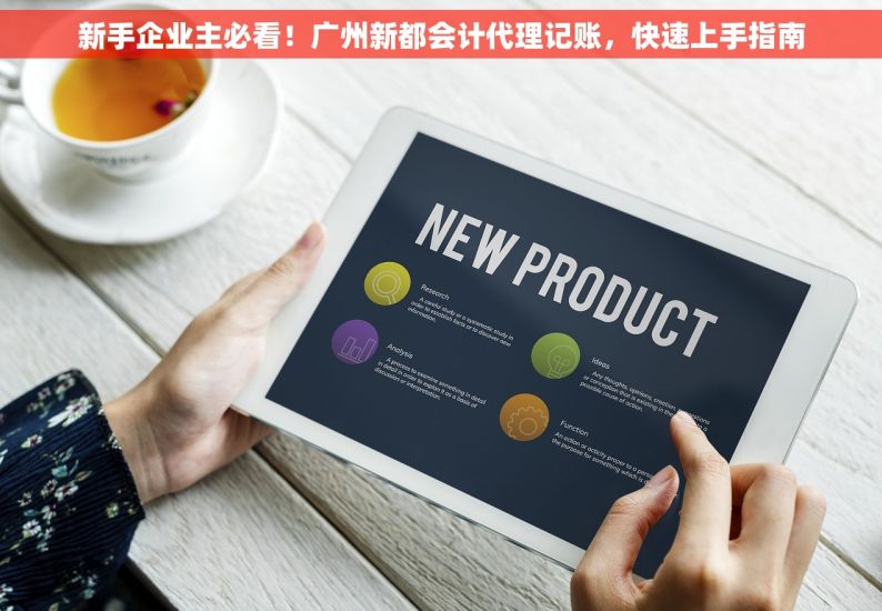 新手企业主必看！广州新都会计代理记账，快速上手指南