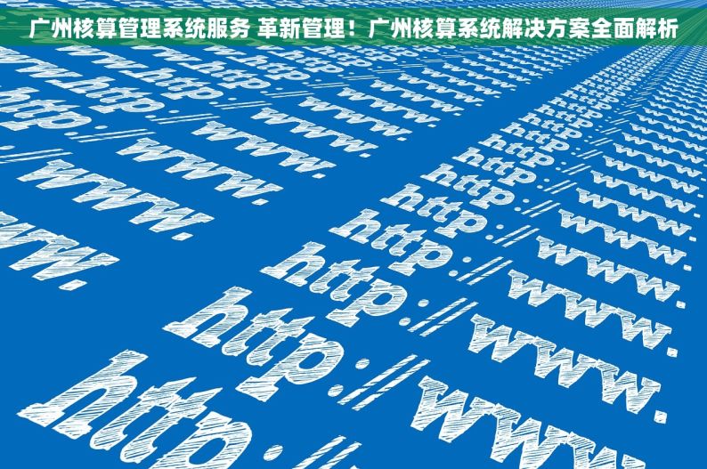 广州核算管理系统服务 革新管理！广州核算系统解决方案全面解析