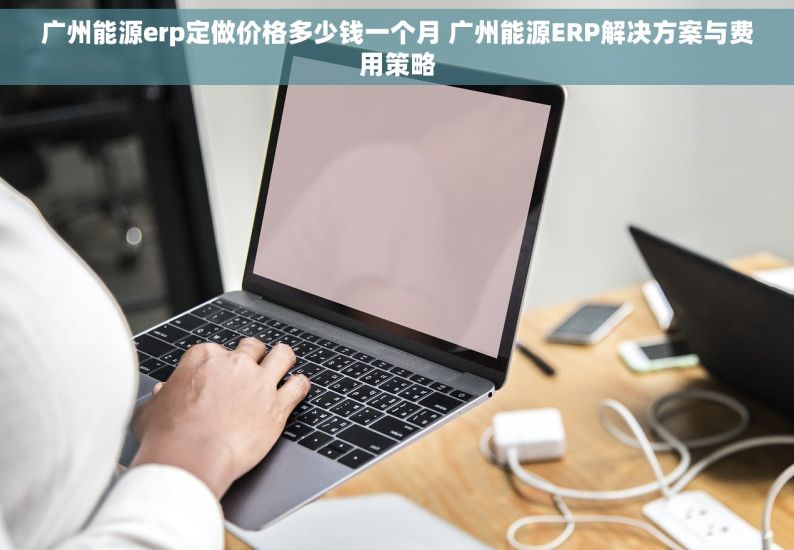 广州能源erp定做价格多少钱一个月 广州能源ERP解决方案与费用策略